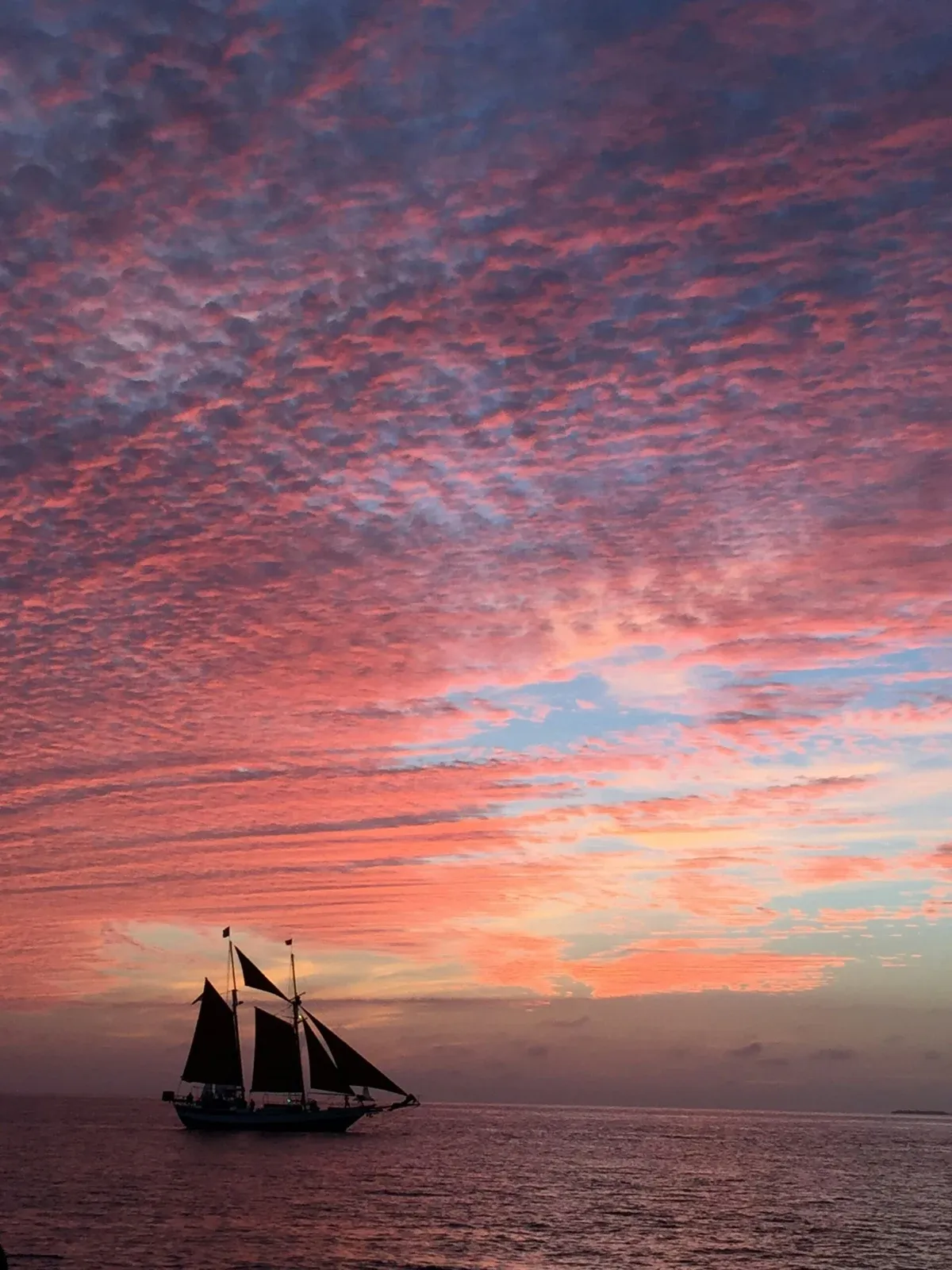Our schooner silhouetted against a pink sunset sky